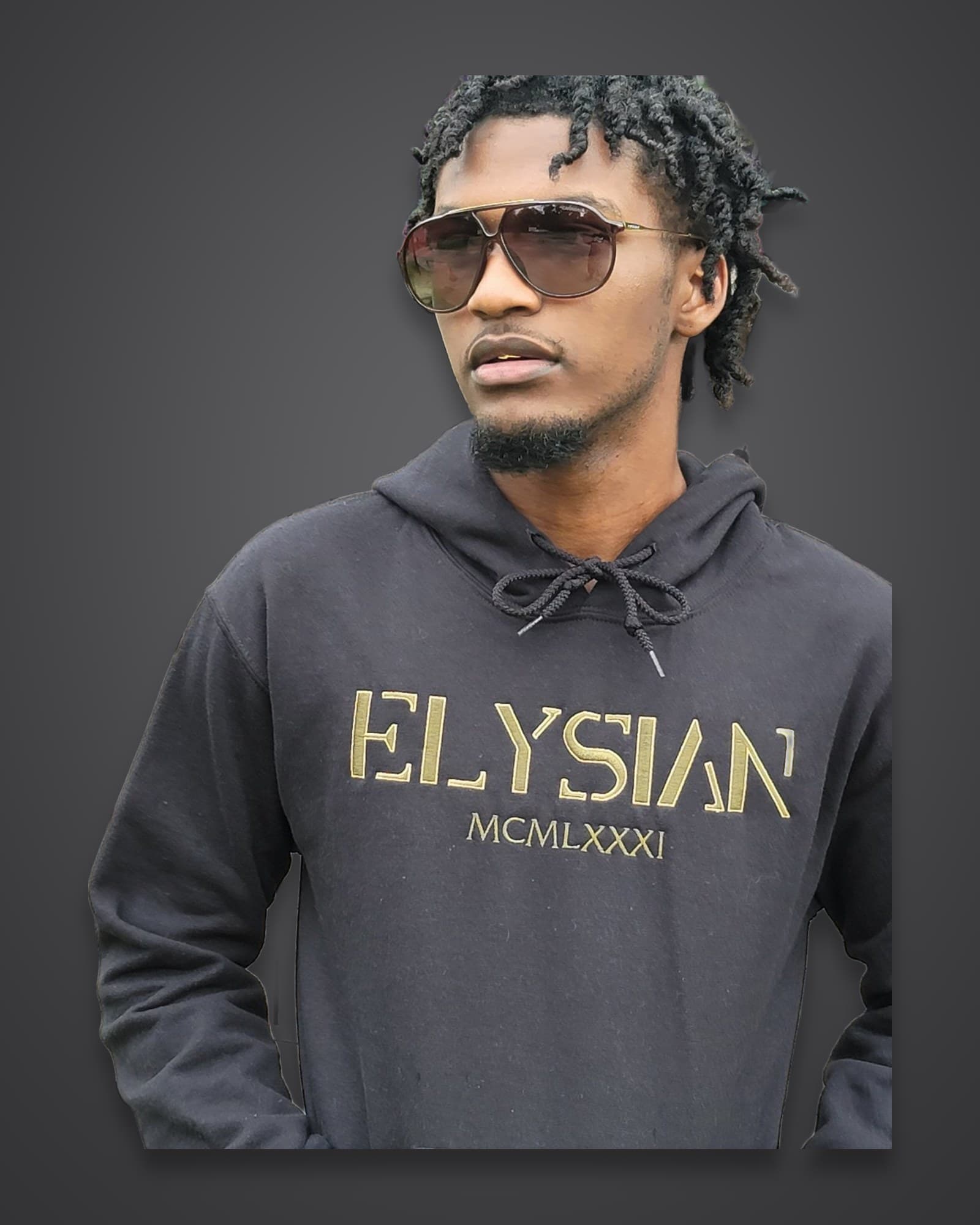Elysian Double Stitch Hoodie, view 3